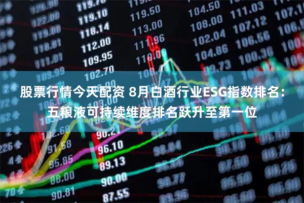 股票行情今天配资 8月白酒行业ESG指数排名:五粮液可持续维度排名跃升至第一位