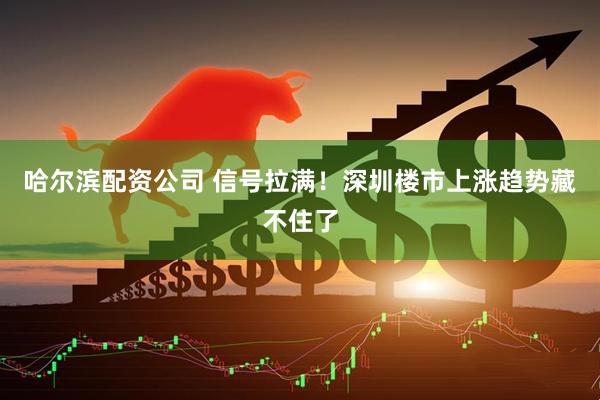 哈尔滨配资公司 信号拉满!深圳楼市上涨趋势藏不住了